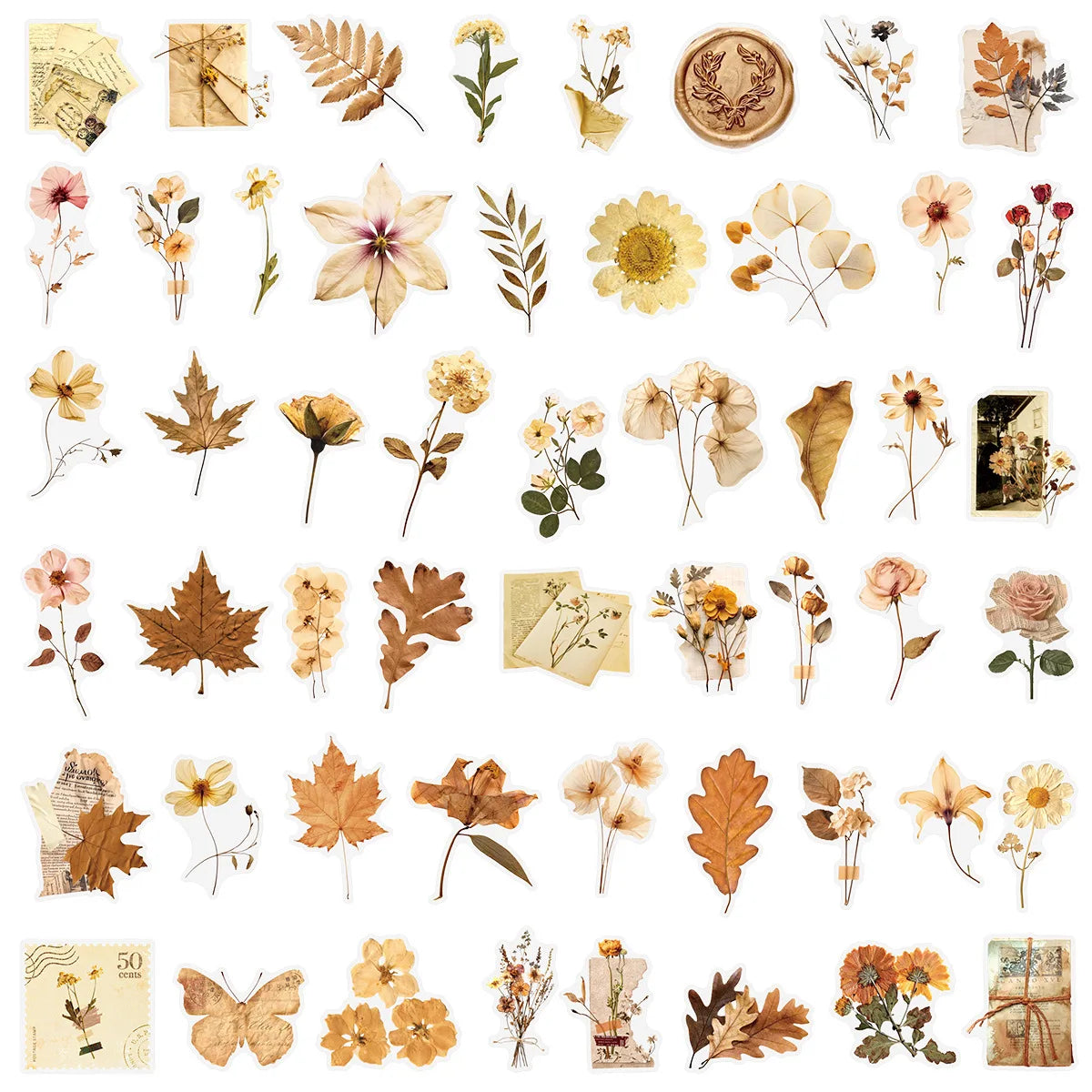 Adesivos Transparentes Folhas e Flores Secas para Scrapbook Paper Craft DIY 10, 25 ou 50 Unidades