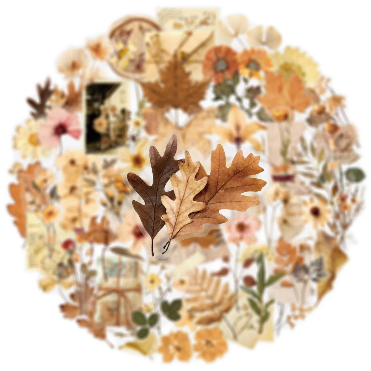 Adesivos Transparentes Folhas e Flores Secas para Scrapbook Paper Craft DIY 10, 25 ou 50 Unidades