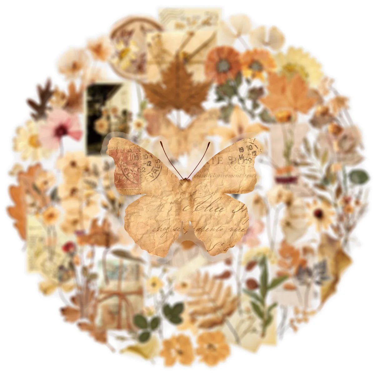 Adesivos Transparentes Folhas e Flores Secas para Scrapbook Paper Craft DIY 10, 25 ou 50 Unidades